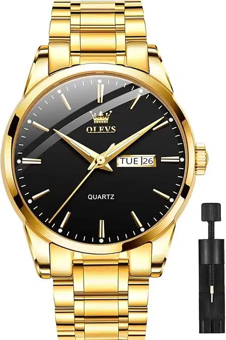 OLEVS Classic Men's Watch